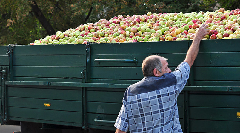 перегруз на пунктах весового контроля